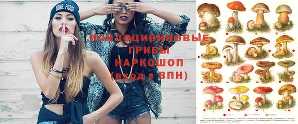 амф Новозыбков