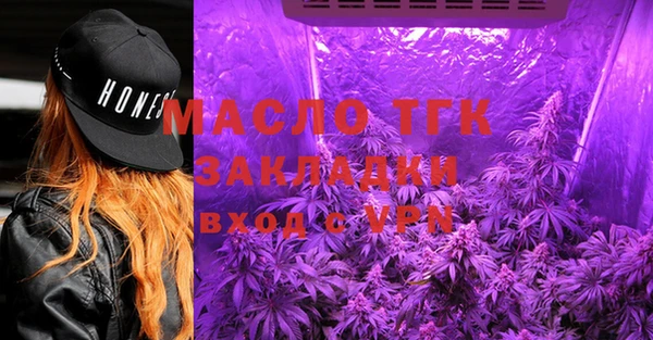 амф Новозыбков
