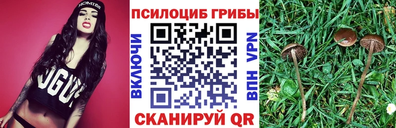 где купить   shop телеграм  Галлюциногенные грибы прущие грибы  Рошаль 